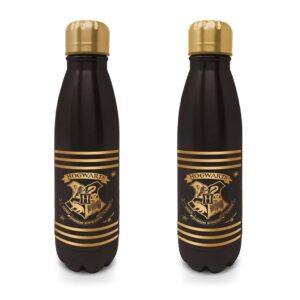 Pyramid International - Botella de viaje de metal de Harry Potter con