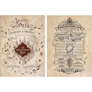 Pyramid International Harry Potter - Juego de 2 carteles, tarjeta de