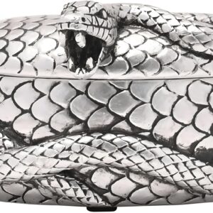 Widdop & Co. Harry Potter Dark Arts - Joyero, diseño de Nagini, WB317